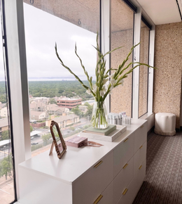 Luxury Med Spa in Dallas